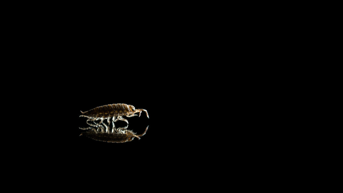 _DSC9714-bewerkt