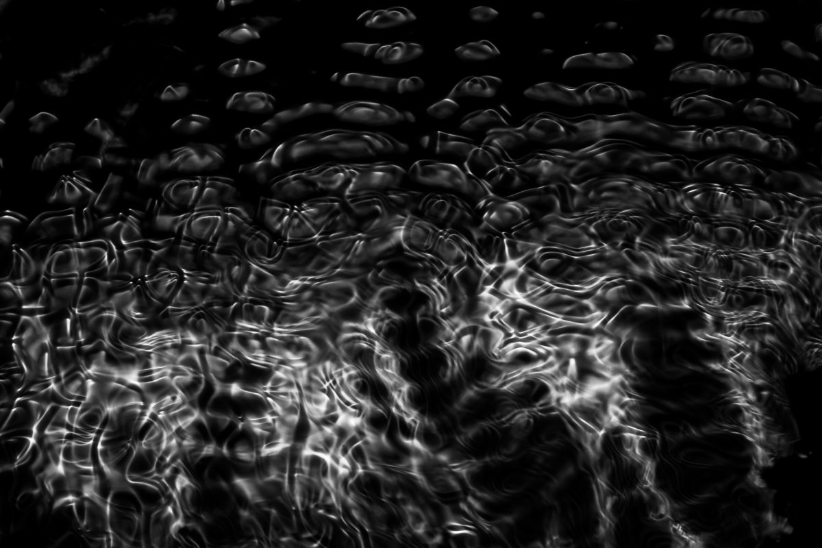 _DSC0471