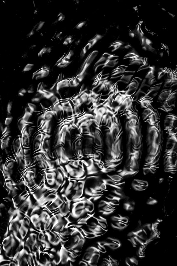 _DSC0532-bewerkt
