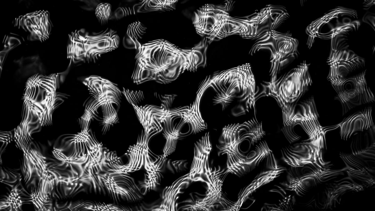 _DSC0577