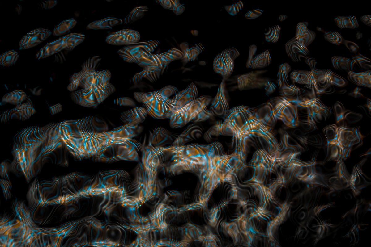 _DSC0603