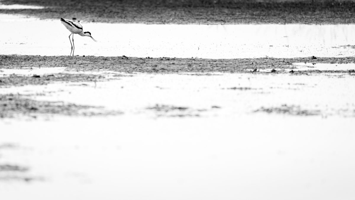 _DSC1206