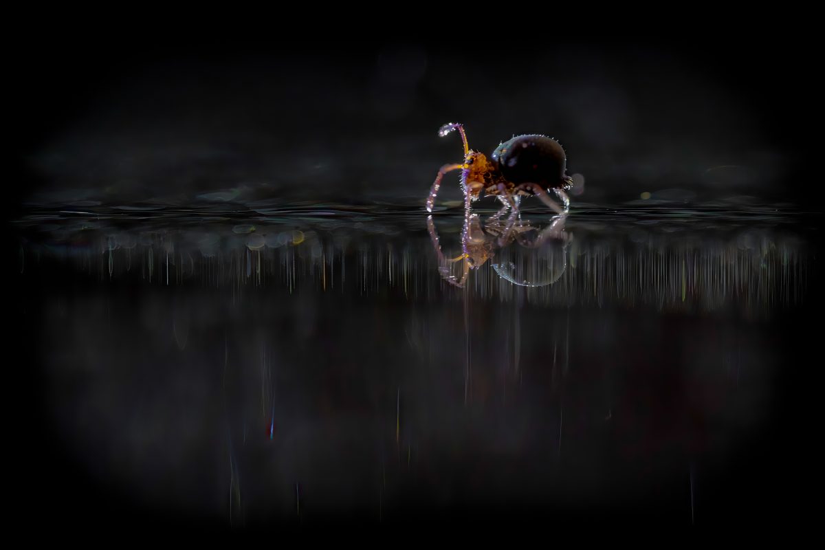_DSC1840-bewerkt-2