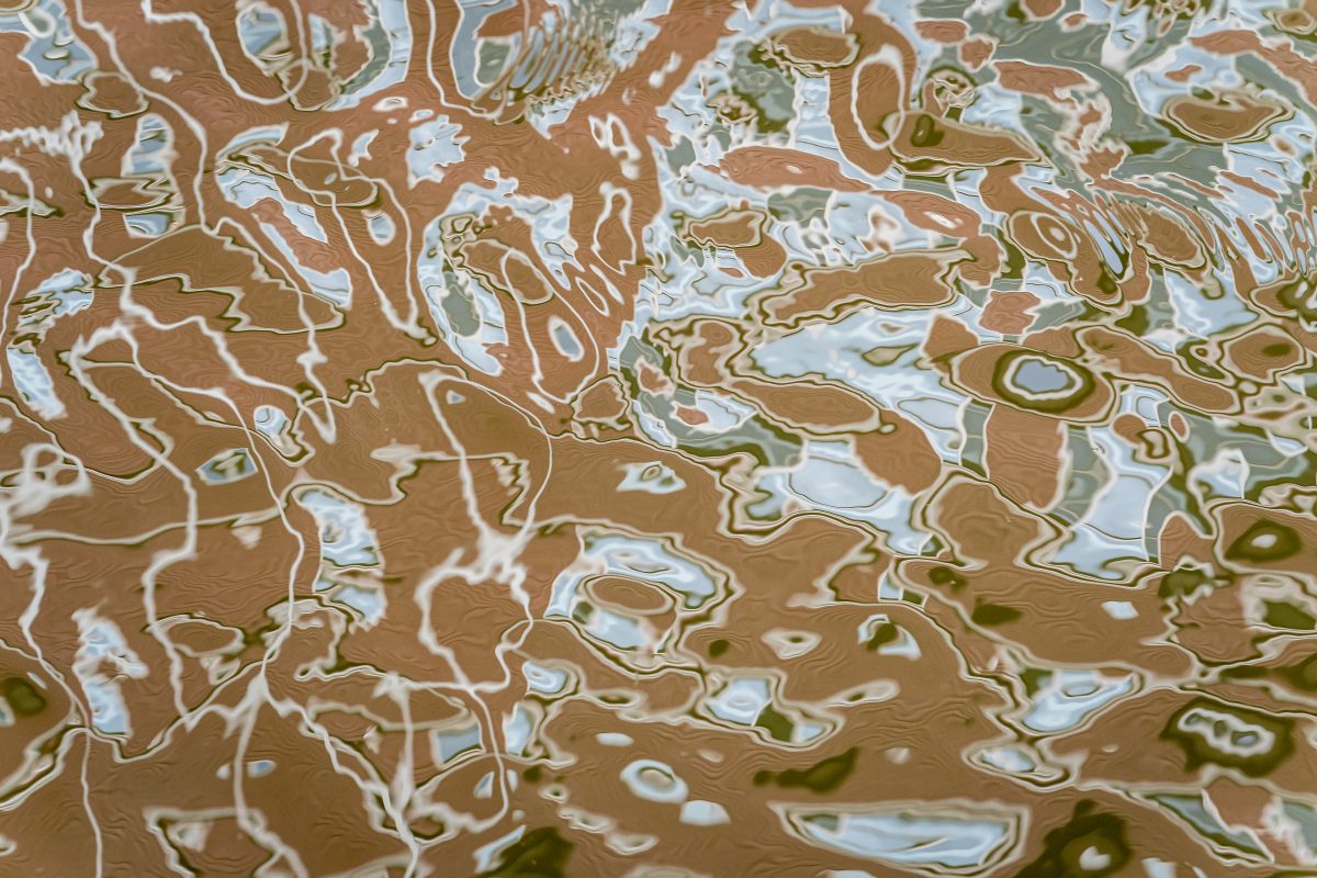 _DSC2246