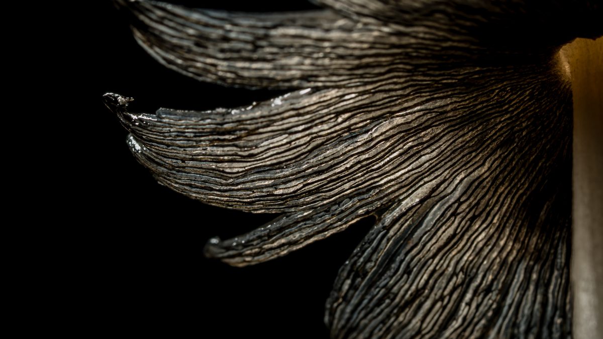 _DSC2693