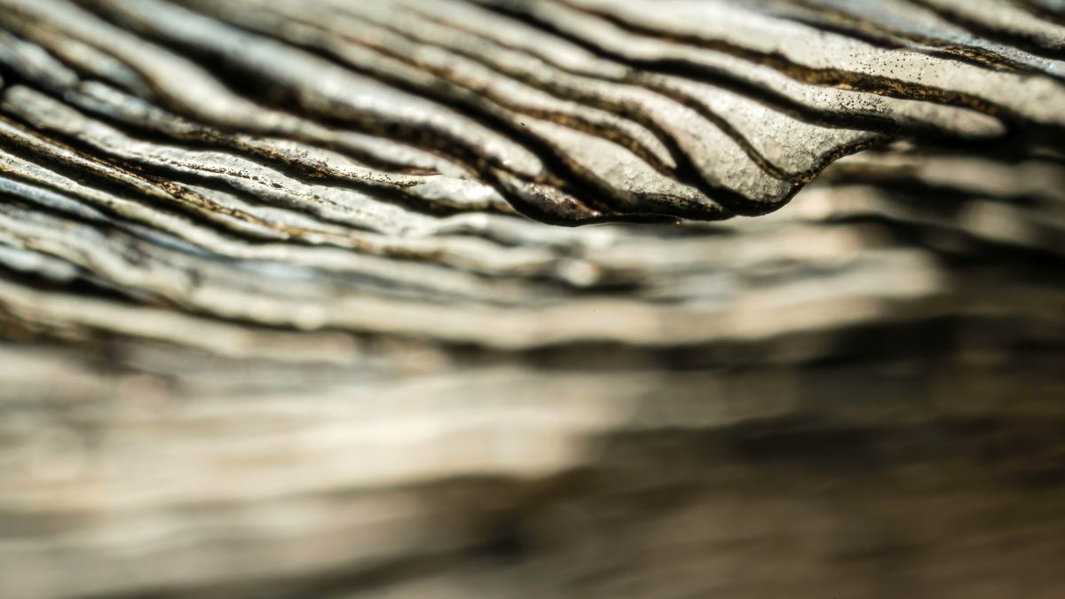 _DSC2762-bewerkt