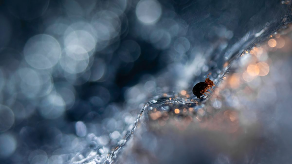 _DSC2819-bewerkt