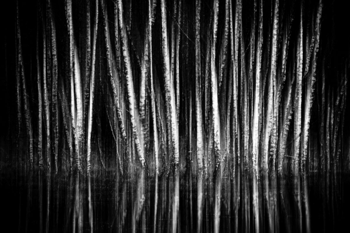 _DSC3215