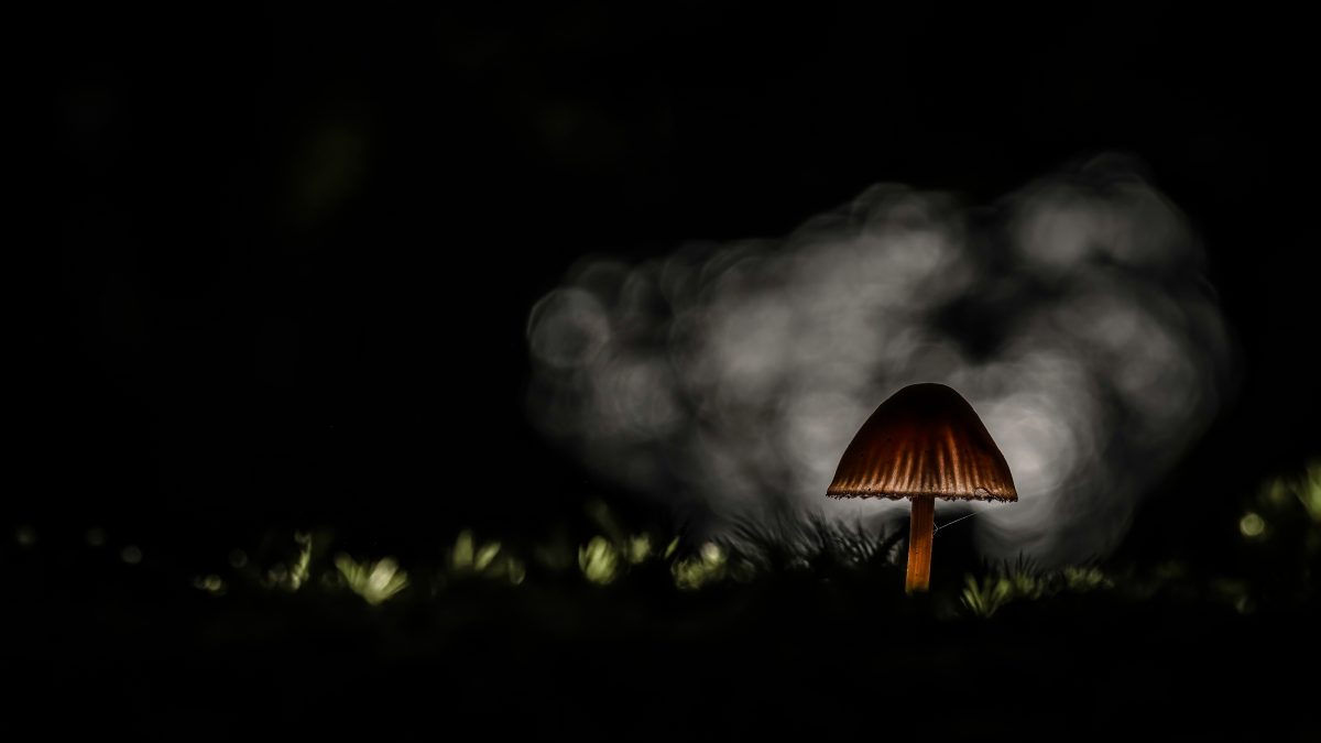 _DSC4333-bewerkt