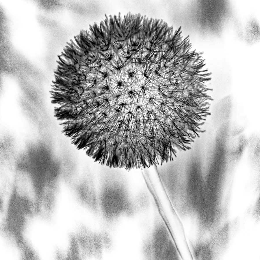 _DSC5409-bewerkt