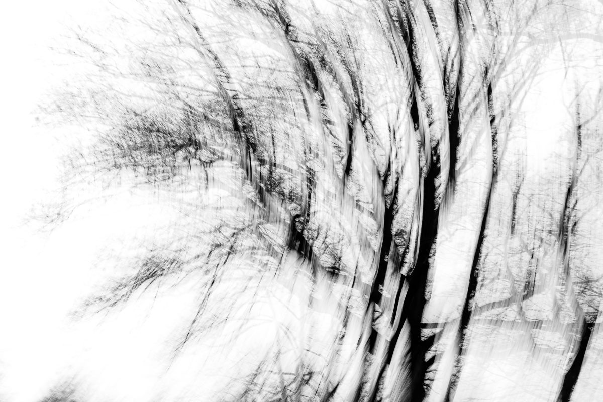 _DSC5690