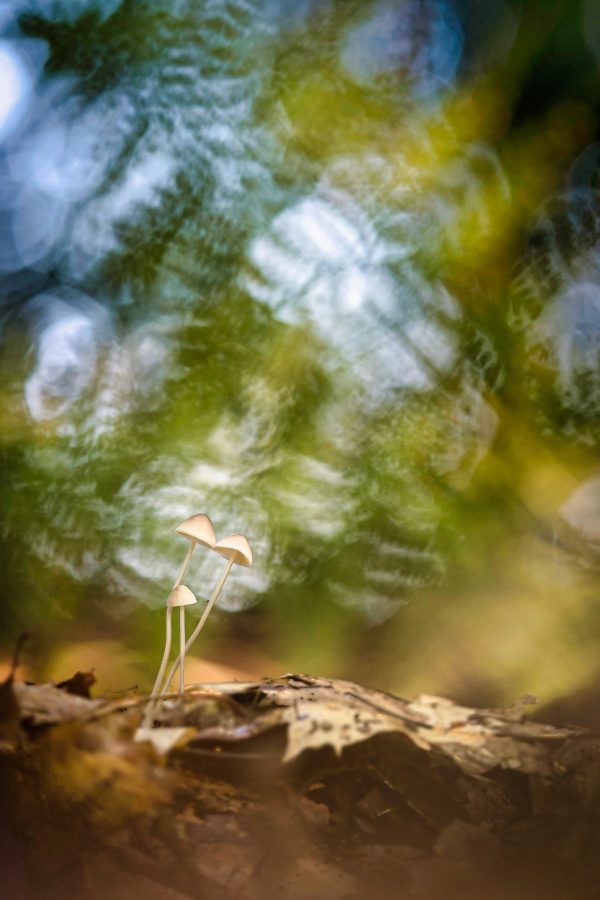 _DSC5724-bewerkt