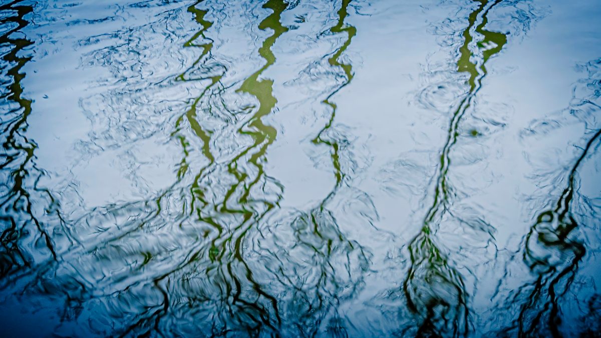 _DSC5994-bewerkt