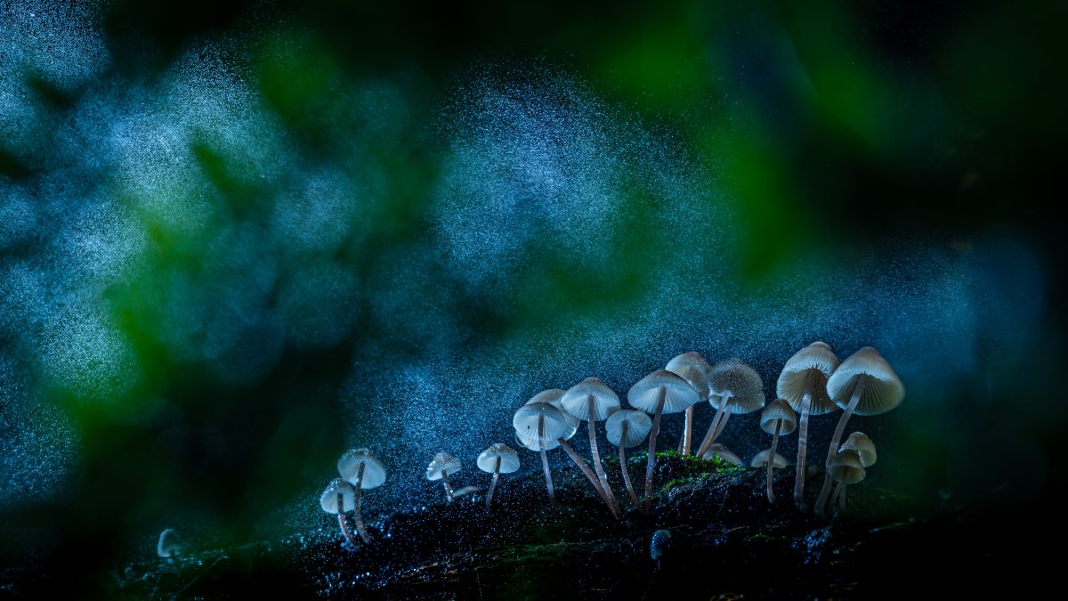_DSC6383