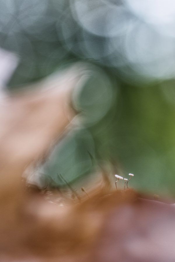 _DSC7644-bewerkt
