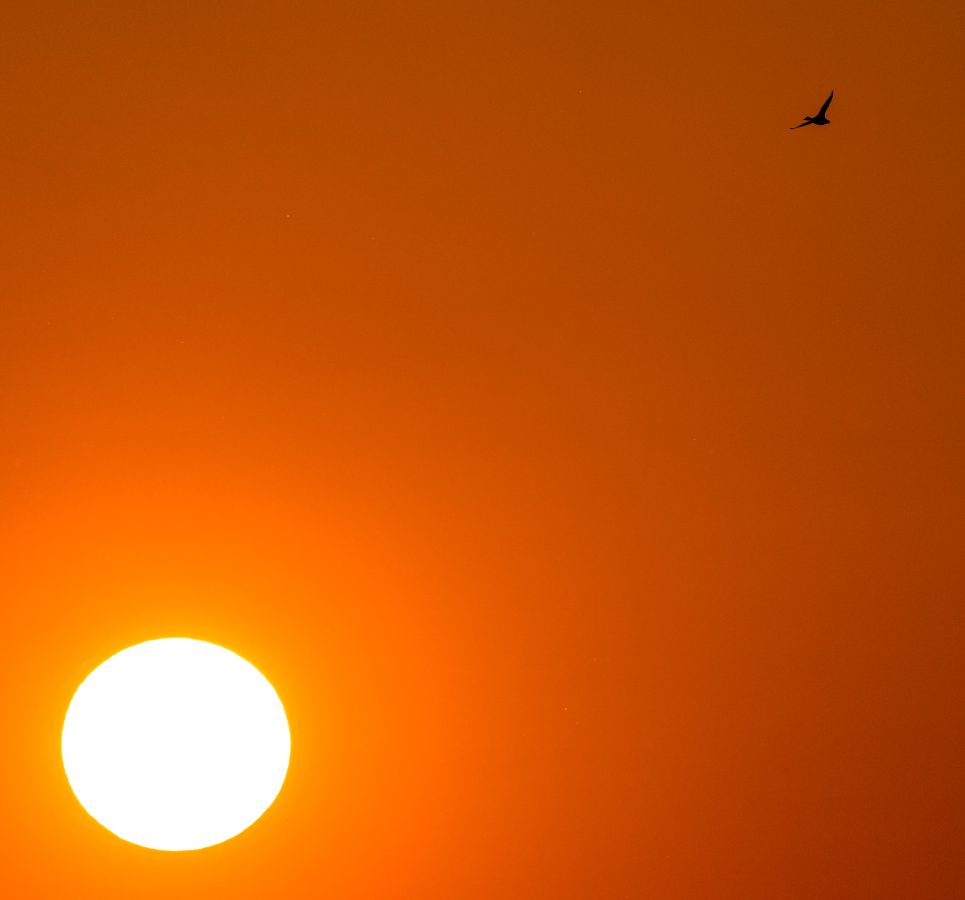 _DSC7675
