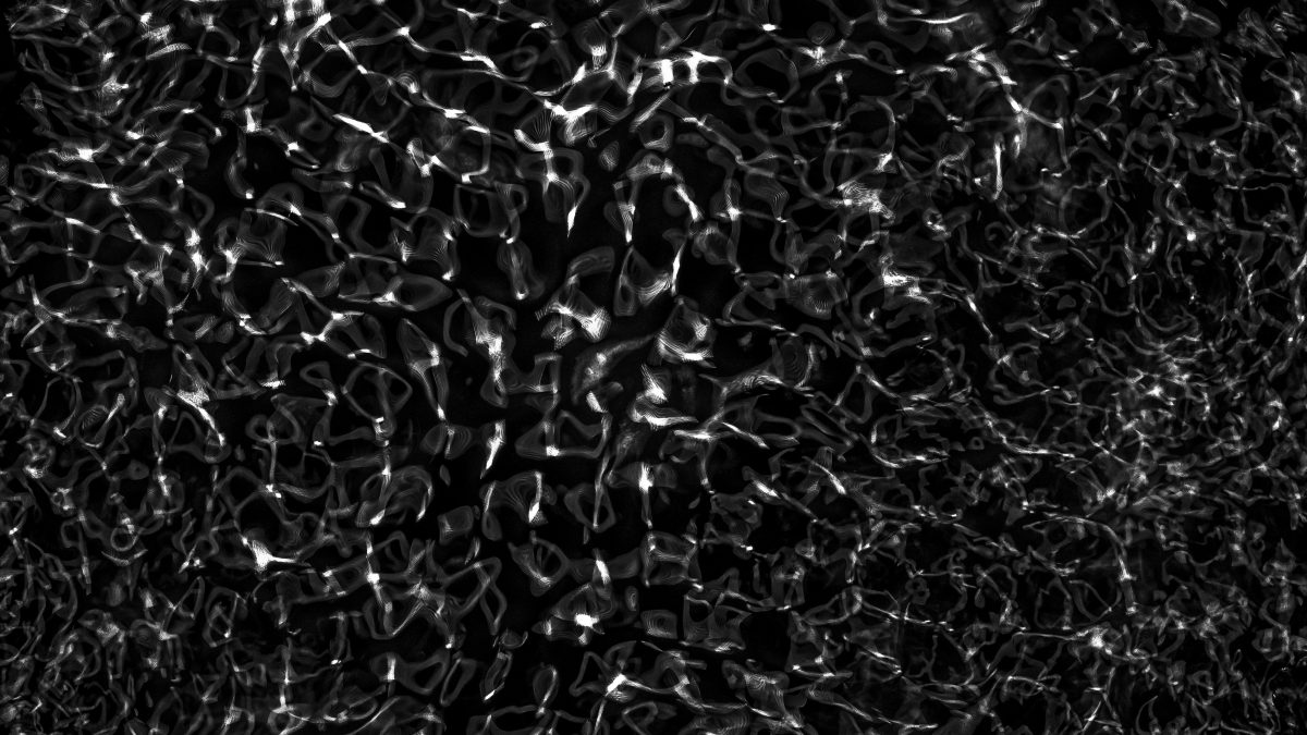 _DSC8241