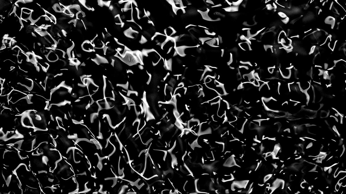 _DSC8421-bewerkt