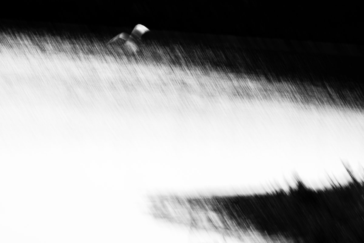 _DSC8738