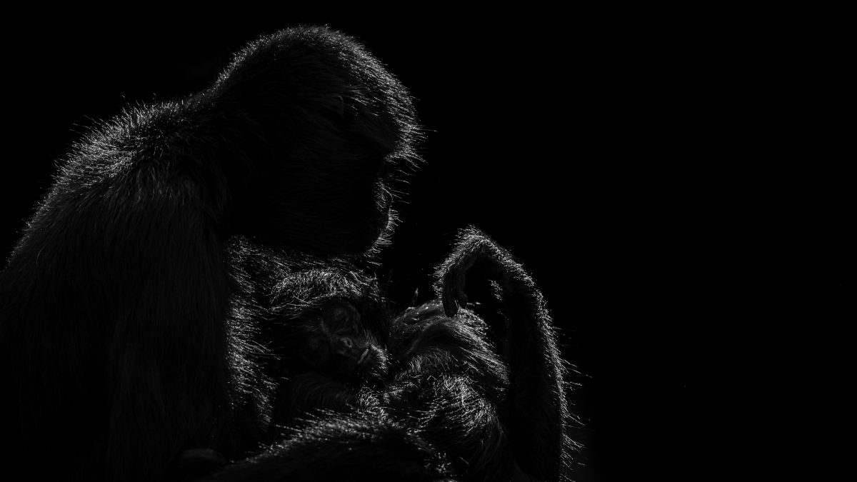 _DSC8919